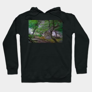 abs eerie Hoodie